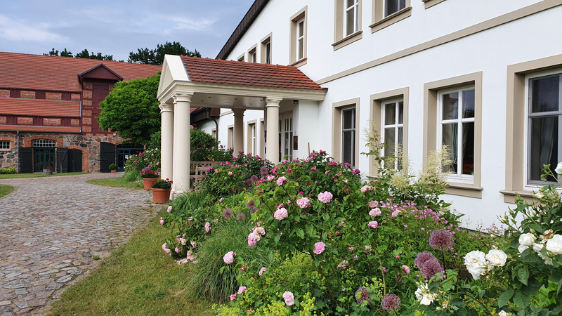 Neue Nutzung Alter Schlösser In Mecklenburg-Vorpommern - Burgdame