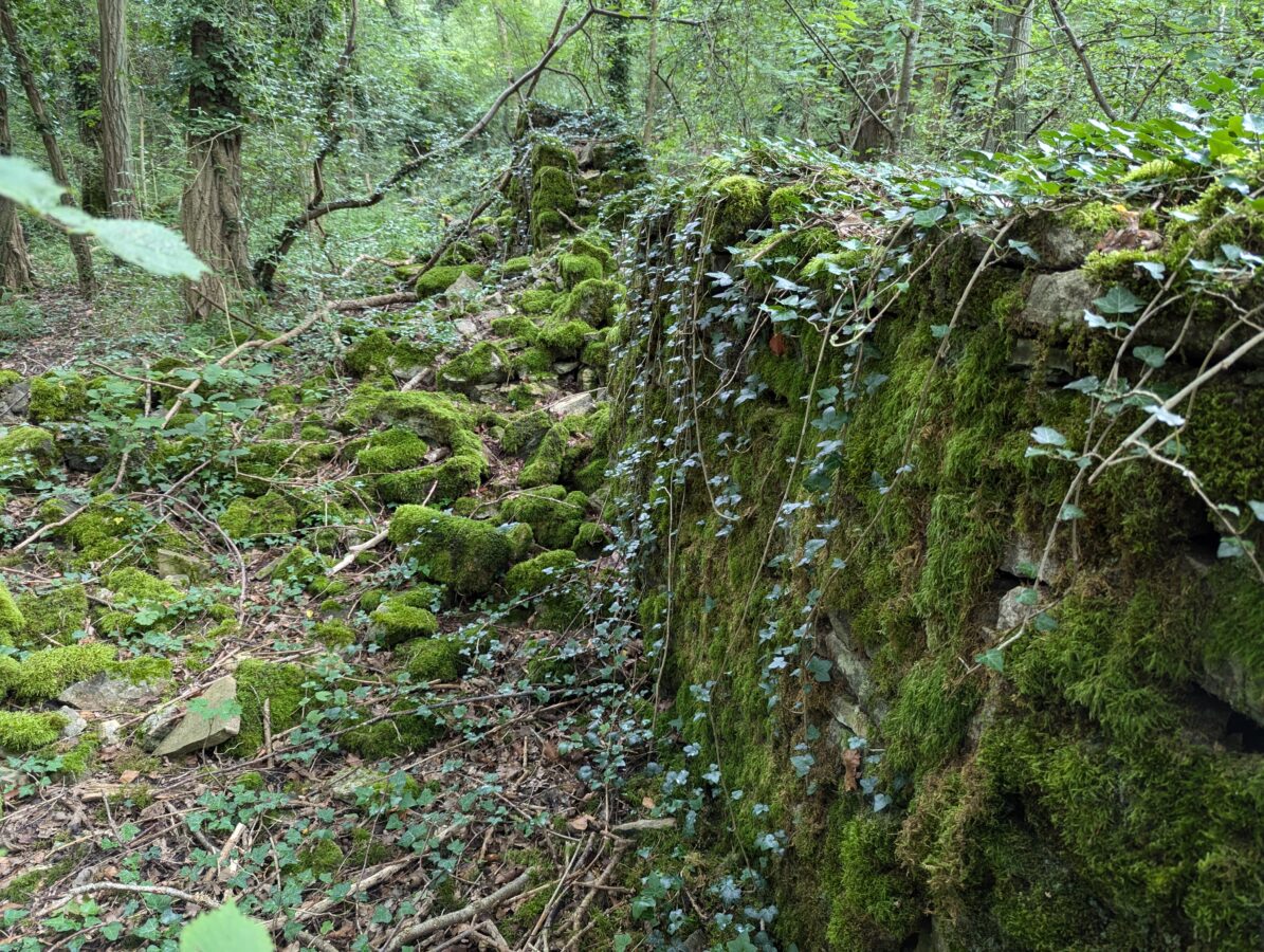 Ausflugsziele Saarland, Wandern im Saarland, Wanderwege Saarland