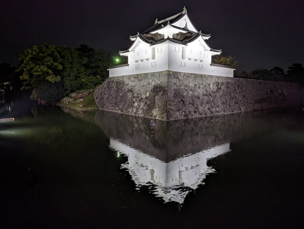 Burgen und Schlösser in Japan, Burg Sumpu, Burg Shizuoka 