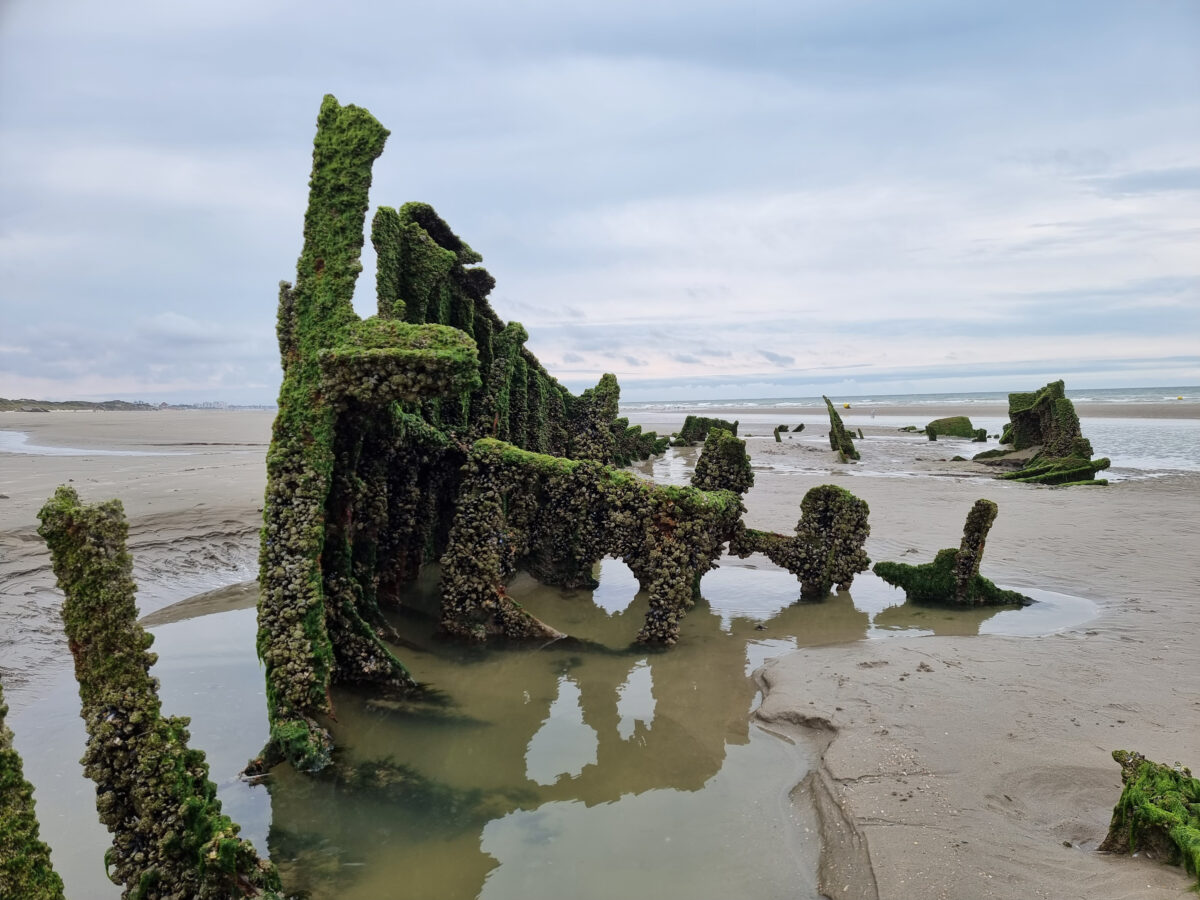 Schiffswrack bei Dunkerque